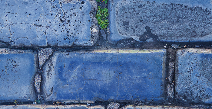Bricks in a wall - Michelle Bonkosky (Unsplash)